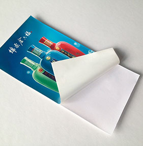 Static cling sticker